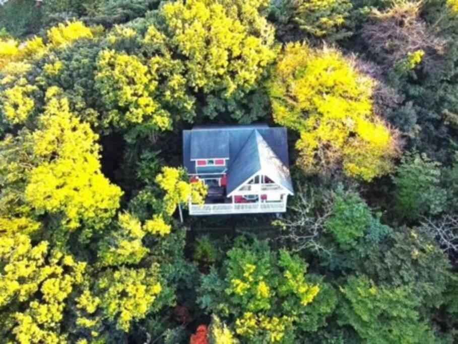 絶景大型ログハウス最大20人ハートウッド熱海邸 أتامي المظهر الخارجي الصورة
